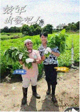 成年人免费网站 影视资讯